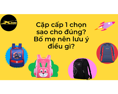 Cặp cấp 1 chọn sao cho đúng? Bố mẹ nên lưu ý điều gì? Cặp cấp 1 chọn sao cho đúng? Bố mẹ nên lưu ý điều gì?